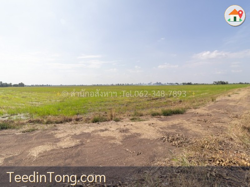 ขายที่ดินเปล่า (ปัจจุบันเป็นที่นา) เนื้อที่ 20 ไร่ ทรงสวยสี่เหลี่ยม ต.วังพัฒนา อ.บางซ้าย จ.พระนครศรีอยุธยา