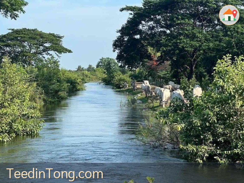 ขายที่ดินเปล่าแปลงสวย ทำเลดี ต.เกาะศาลพระ อ.วัดเพลง จ.ราชบุรี