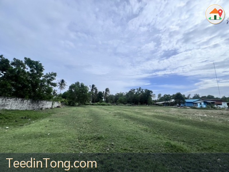 ขายที่ดินเปล่าสวย ทำเลดี เมืองสงขลา ติดทะเล บรรยากาศธรรมชาติ เงียบสงบ  เหมาะสำหรับพัฒนาโครงการท่องเที่ยวหรือที่อยู่อาศัย