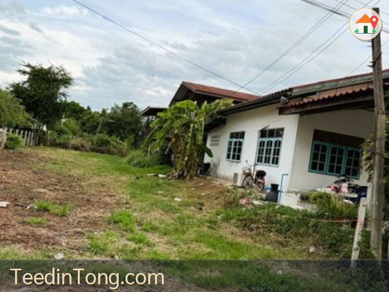 ขายที่ดินเปล่า ต.ประทาย อ.ประทาย จ.นครราชสีมา 109 ตร.ว.