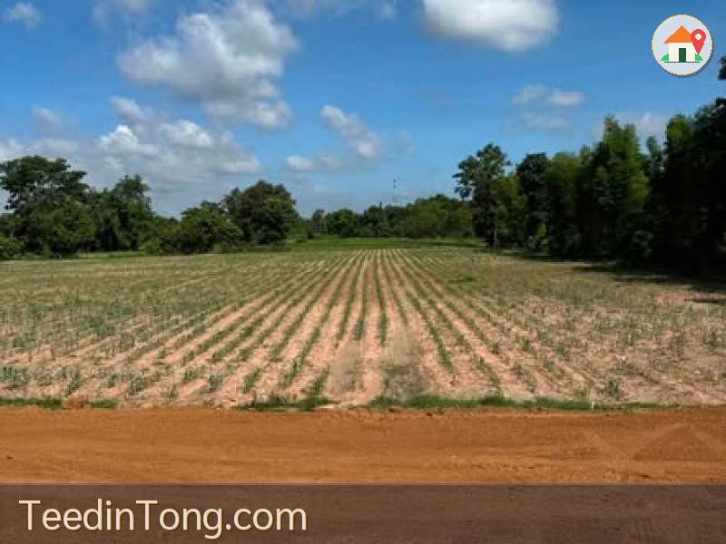 ขายที่ดินกบินทร์บุรี 2 ไร่ ที่โคกสวยไม่ต้องถม ใกล้ที่ว่าการอำเภอ บรรยากาศดีเงียบสงบ