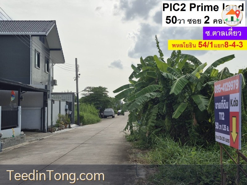 ขายที่ดิน พหลโยธิน 54ทับ 1แยก843 ซอยตาลเดี่ยว 50 วาแปลงสวย ซอย2 คอนกรีตแปลงสุด ท้าย ทิศใต้ด่วน 1.25 ล้านบาทสุดท้าย หรือคุณจะเข้าสายไหมซอย 6 แปลงสุดท้ายต้นๆซอย 2 คอนกรีต