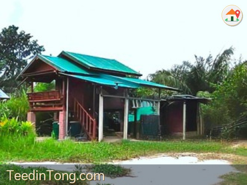 ขายที่ดินพร้อมสิ่งปลูกสร้างบ้านบึงชลบุรี  บ้านสวน 2 ไร่ พร้อมบ้านเรือนไทย ในชลบุรี  เพียง 1.9 ล้านบาท