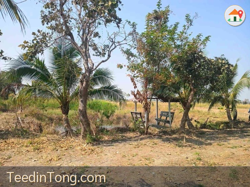 ขายที่ดินพร้อมสิ่งปลูกสร้าง วิวทุ่งนา บรรยากาศดี ทำเลเงียบสงบ ใกล้เมืองนครราชสีมา