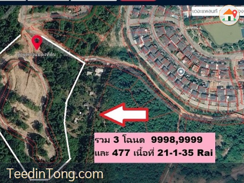 ขายที่ดินภูเก็ตทำเลเด็ดทำบ้านขายสบายๆ 21-1-35.7 ไร่ แปลงสวย กะทู้-ป่าตอง เส้นข้างหมู่บ้านเดอะแพลนท์,THE PLAM บ้านหรูพฤกษา กะทู้-ป่าตอง ราคาตัดใจ 8 ล้านต่อไร่ ลองดูพิจารณา