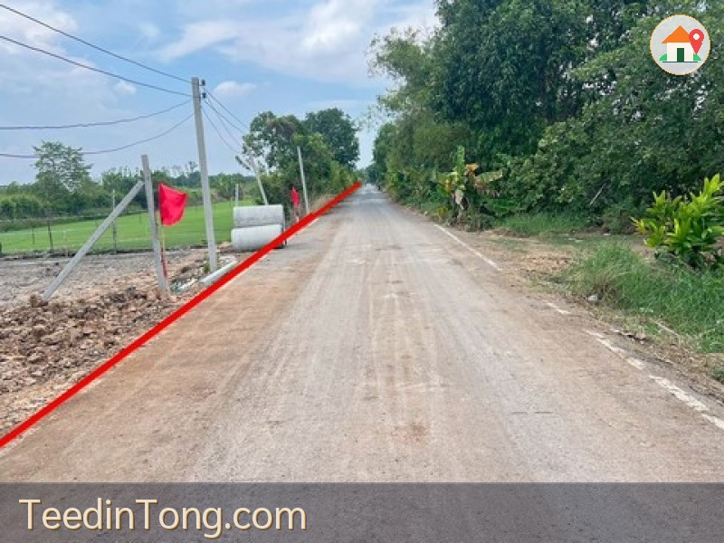 ขาย ที่ดิน - ปทุมธานี    หนองเสือ    100 ตารางวา 390000 บาท
