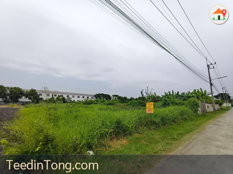 ขายที่ดินปทุมธานี 397 ตรว. ซอยเชิญบุญ ลาดหลุมแก้ว ทำเลดีราคาคุ้มค่า