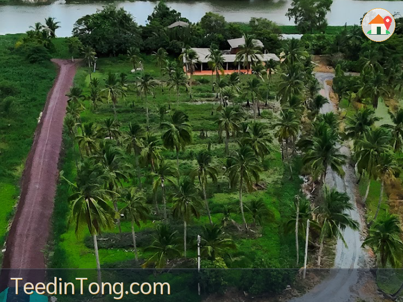 ขายที่ดินริมแม่น้ำท่าจีน รร.นายร้อยสามพราน (4ไร่กว่า) เจ้าของขายเอง