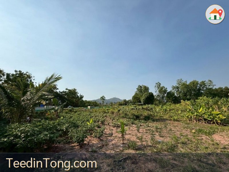 ขายที่ดินศรีราชา นาพร้าว แปลงสวย ซอยลุงเทิ้ม ใกล้แหล่งชุมชน FP-L02437