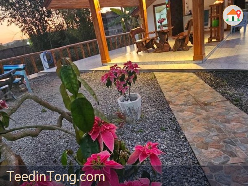 ขายที่ดินสวนพร้อมบ้าน และบ่อปลา 4.5 ไร่ อ.ลอง จ.แพร่ (พร้อมเข้าอยู่) บังกาโล 1 นอน ตกแต่งด้วยไม้สักแท้ สภาพใหม่พร้อมอยู่