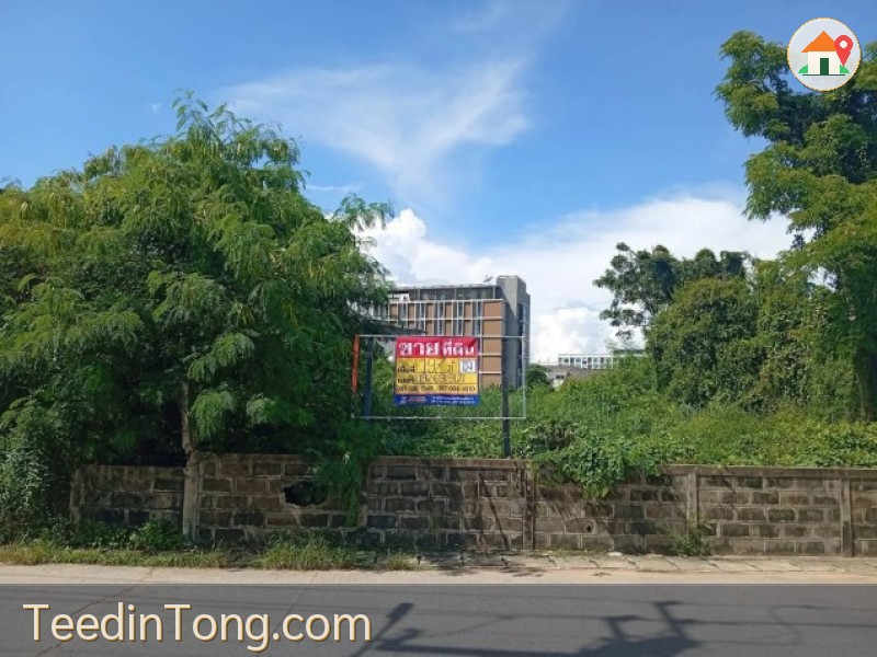 ขายที่ดินสวย 197 ตร.วา.  ถนนพร้อมมิตร  โซนมหาวิทยาลัยขอนแก่น  เมืองขอนแก่น