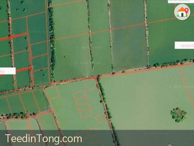 ขาย ที่ดิน ท่าข้าม บางขุนเทียน กรุงเทพ 1 ไร่ 7 ตร.วา