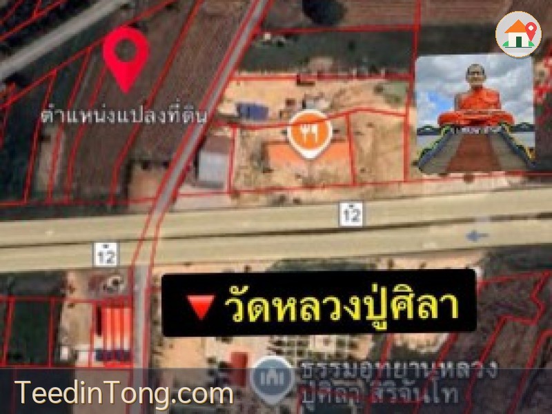 ขายที่ดินทำเลทอง 2 ไร่ 1 งาน 31 ตร.ว. ติดถนนใหญ่เส้นกาฬสินธุ์-มุกดาหาร ตรงข้ามวัดหลวงปู่ศิลา