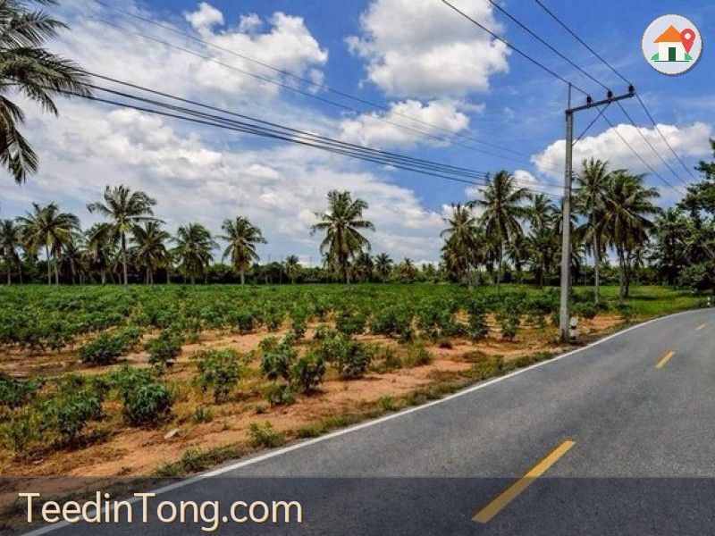 ขายที่ดินทำเลดี ใกล้โรงเรียนนานาชาติรีเจนท์ พัทยา ราคาสุดพิเศษ FP-L02434