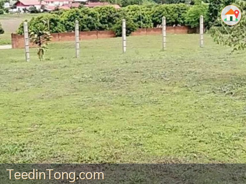 ขายที่ดิน 376 ตร.ว. ทำเลดีใกล้ถนนใหญ่ ต.โหล่งขอด อ.พร้าว เชียงใหม่ เหมาะสร้างบ้านหรือทำธุรกิจ