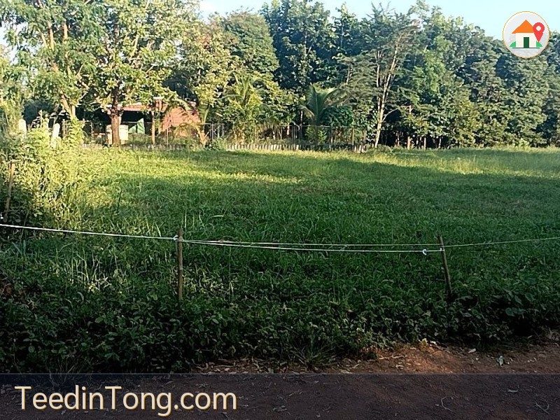 **ขายที่ดินทำเลดี ตำบลหนองสว่าง อำเภอหล่มสัก จังหวัดเพชรบูรณ์**