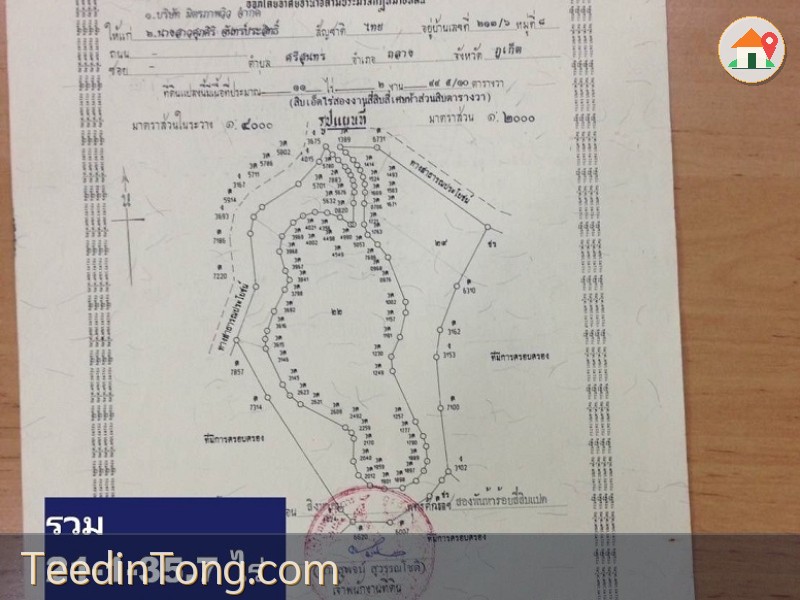 ขายที่ดินทำเลทอง 21.5 ไร่ ในภูเก็ต กะทู้ ป่าตอง Prime Land for Sale 22 Rai in Phuket Kathu District,Patong ที่ดินติดหมู่บ้าน ม. The Palm Kathu-Patong