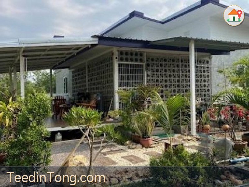 ขาย ที่ดิน ท่ายาง เพชรบุรี 5 ไร่ 1 งาน 87 ตร.วา สถานที่ใกล้ มหาวิทยาลัยศิลปากร วิทยาเขตสารสนเทศเพชรบุรี