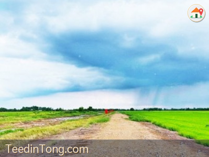 ขาย ที่ดิน ที่ทำเกษตร4.5แสนต่อไร่ บ้านนา นครนายก นครนายก    บ้านนา    ใกล้กับ คลอง30 อำเภอบ้านนา 900000 บาท
