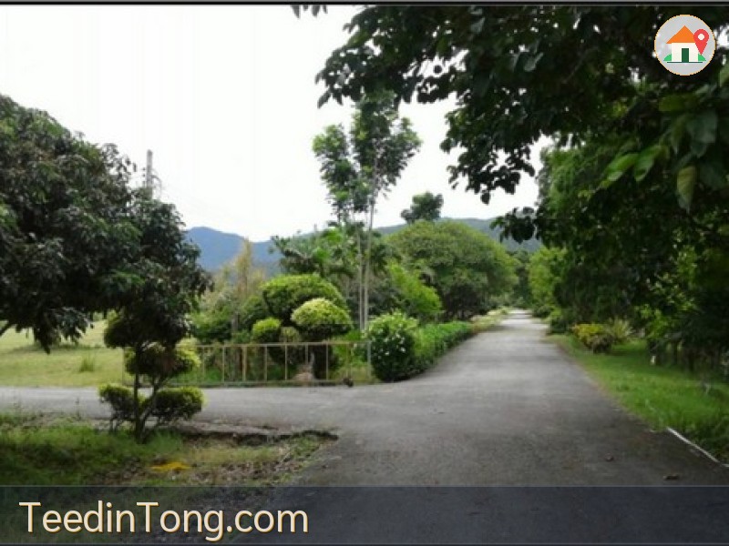 ขายที่ดิน115ไร่ ลดพิเศษ 55ล. ผ่อนได้ ฟรีโอน บ้านยุโรป3หลัง สาธารณูปโภค เหมาะทำรีสอร์ท คาเฟ่ ที่เที่ยว เกษตร ใกล้เทศบาล ต.ทากาศ อ.แม่ทา ลำพูน
