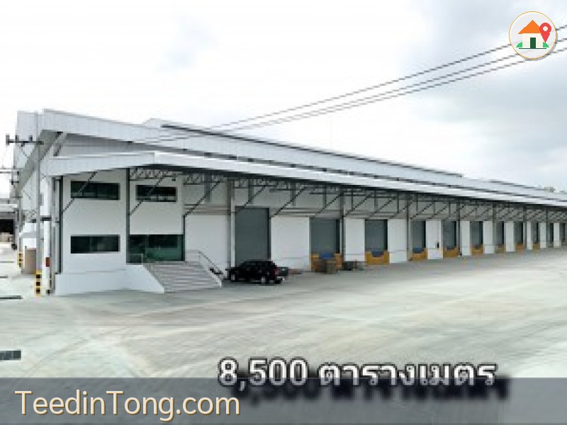 โกดัง free zone เช่าขนาด 5,000 และ 8,500 ตารางเมตร ขอรง.4 ได้ แหลมฉบัง ศรีราชาชลบุรี