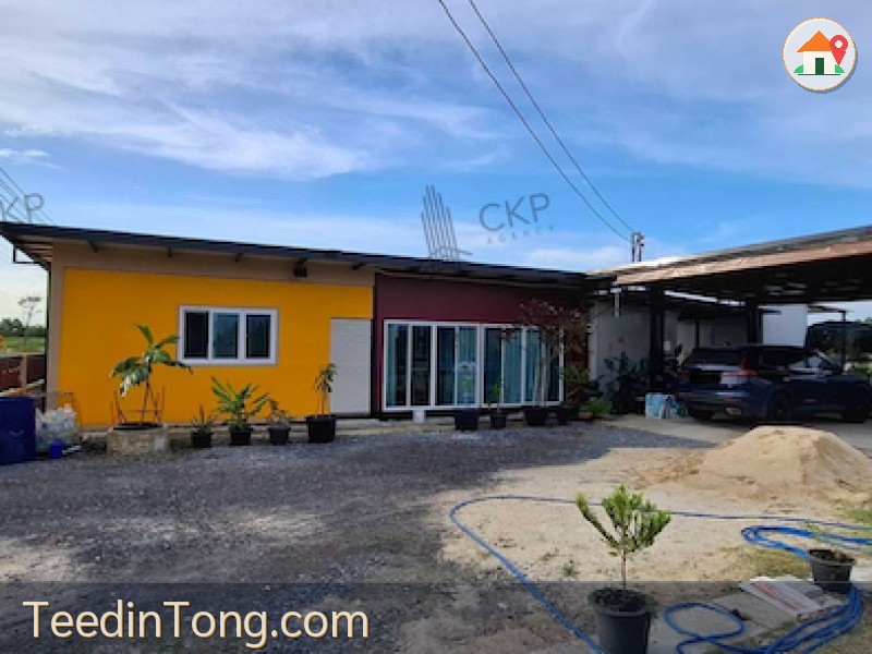 L260028 | บ้านและที่ดิน โครงการบ้านสวนไม้งาม คลอง 15 พร้อมสวนผสม ระบบสปริงเกอร์รดน้ำ น้ำ-ไฟฟ้าครบ