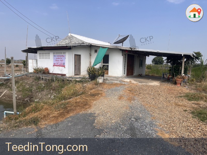 L260040 | ที่ดินพร้อมบ้าน ใกล้ม.เกษตร กำแพงแสน ใกล้โลตัส กำแพงแสน ไม่ไกลจากตัวเมืองนครปฐม ทำเลจ.นครปฐม กำแพงแสน สระสี่มุม