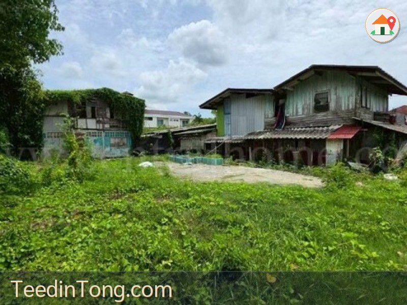 ลดด่วน ที่ดิน 125 ตรว. ซอยทวีวัฒนา 43 ถนนบรมราชชนนี ทำเลดี ราคาถูกมาก