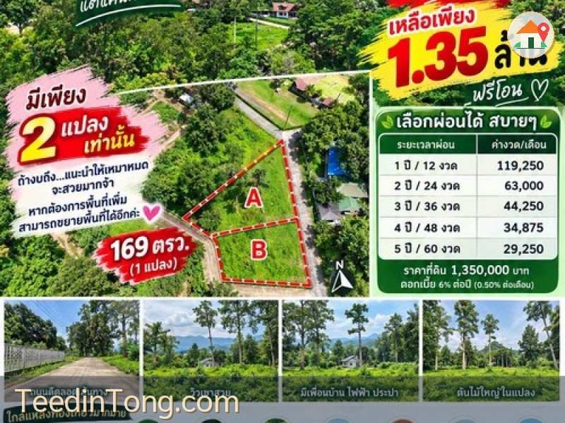 มาแล้วที่เนินแปลงเล็กที่รอคอย 169 ตรว. ต.สาริกา อ.เมืองนครนายก มีเพียง 2 แปลงเท่านั้น บรรยากาศดี วิวสวย ไม่เปลี่ยว