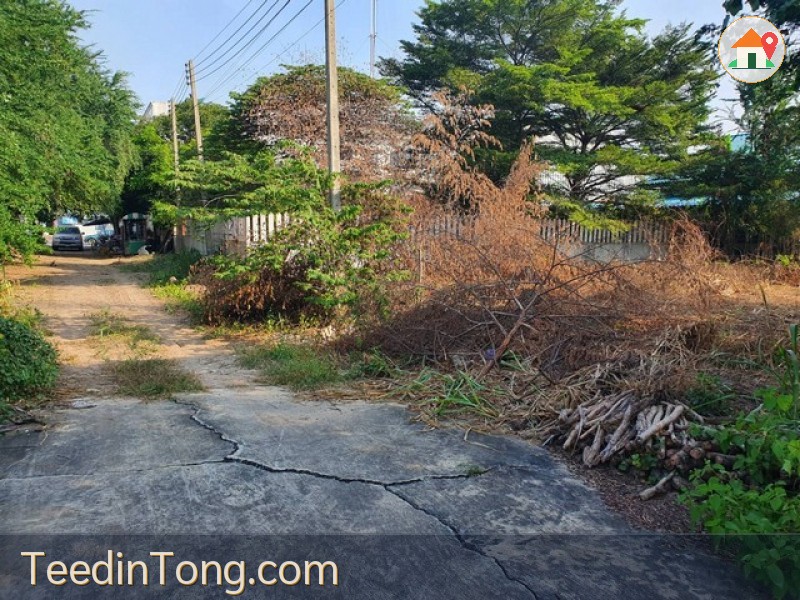 แปลงสวยราคาถูก! ขายที่ดินเปล่าทำเลดี #ใกล้วัดม่วงอ่างทอง