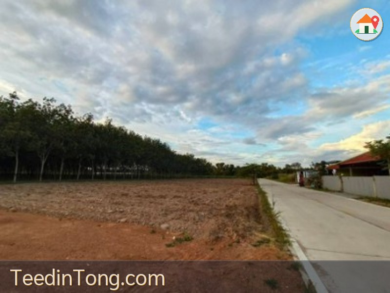 ปล่อยเช่าที่ดินทำเลศักยภาพ 18 ไร่ อ.หนองใหญ่ จ.ชลบุรี พื้นที่สี ห่างจากแยกหนองปรือ 15 กม.