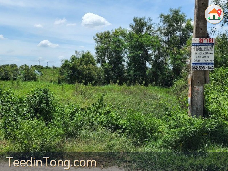 ทดคลองสามพี่เอ๋ ขาย ที่ดิน - ปทุมธานี    1000000 บาท