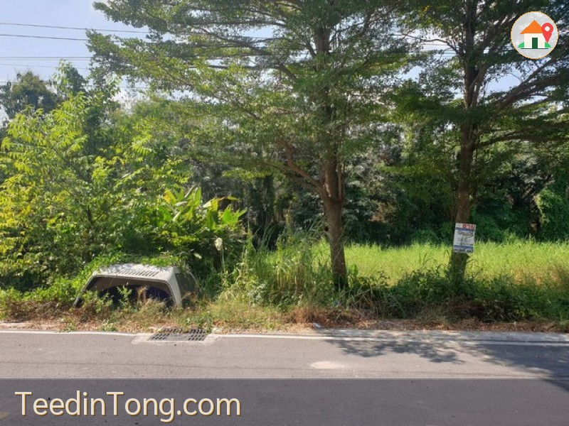 ทดคุณต้นคลอง8 ขาย ที่ดิน - 10 ตร.วา 1000000 บาท