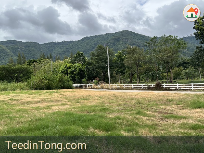 ที่สวยวิวสวย เขาใหญ่  ที่ถมแล้ว ติดถนนลาดยาง 2ไร่ 56ตรว  วิวเขาใหญ่ ใกล้ทอสคาน่าเขาใหญ่