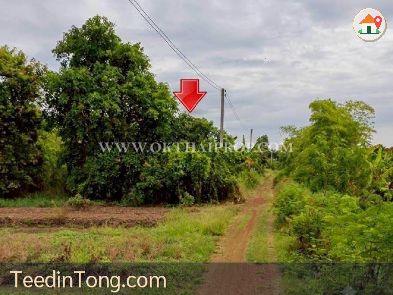 ที่ดินจัดสรร 5 แปลง แบ่งขาย ใกล้สำนักงานสาธารณสุขจังหวัดลำพูน อ.เมืองลำพูน จ.ลำพูน