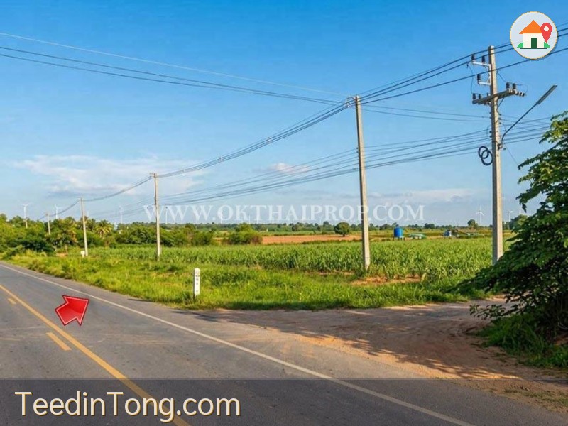 ที่ดิน ด่านขุนทด ใกล้ทุ่งกังหันลม ต.ห้วยบง อ.ด่านขุนทด จ.นครราชสีมา