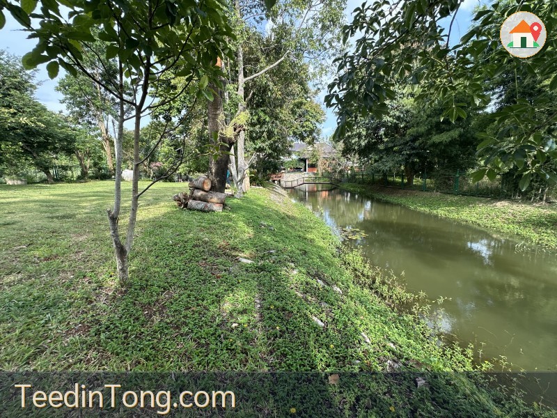 ขายที่ดินเหวปลากั้ง เขาใหญ่ 150 ตร.ว. ติดคลองน้ำ วิวภูเขา ทำเลทองถนนผ่านศึก-กุดคล้า