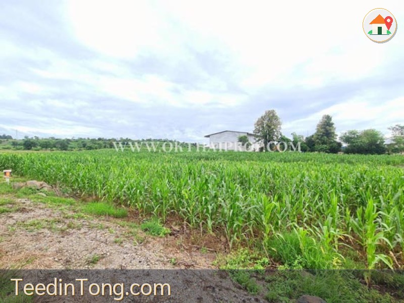 ที่ดิน ใกล้โรงเรียนซับบอนวิทยาคม ทางหลวงหมายเลข 225 ต.กันจุ อ.บึงสามพัน จ.เพชรบูรณ์