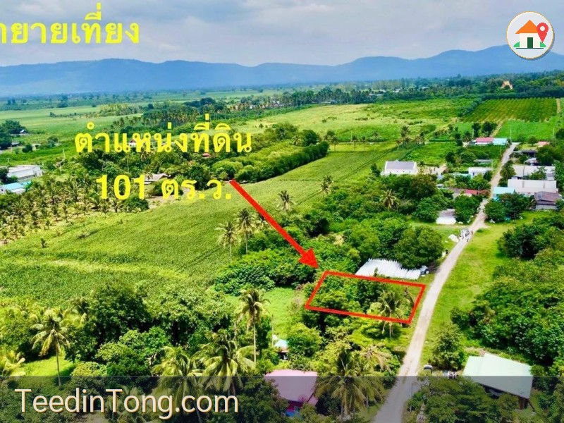 ที่ดิน ปากช่อง เขาใหญ่  101 ตร.ว. 3 แสน น.ส4จ นครราชสีมา
