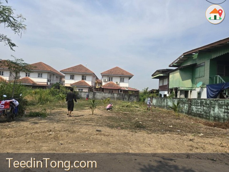 ที่ดินปากเกร็ดน้าวิ ขาย ที่ดิน - 100 ตารางวา 23000 บาท ใกล้กับ วัดกู้