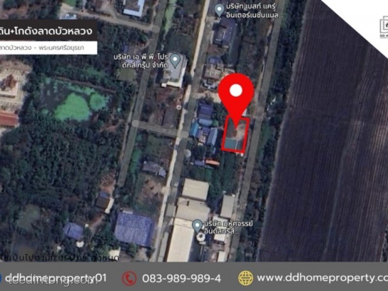 ขายที่ดินพร้อมโกดัง ลาดบัวหลวง จ.พระนครศรีอยุธยา เนื้อที่ 200 ตร.ว. ราคาคุ้มค่า