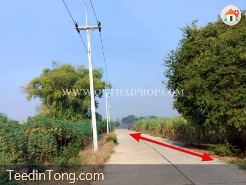 ที่ดินสวย 2 แปลง ใกล้โรงพยาบาลบึงสามัคคี อ.บึงสามัคคี จ.กำแพงเพชร