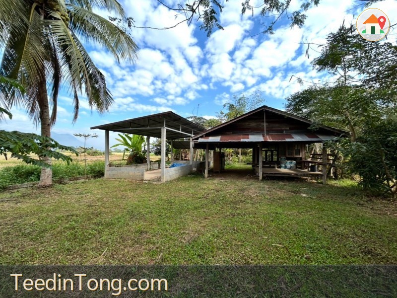 ที่ดินสวยพร้อมสร้างบ้าน ทำเลดี อ.แม่สาย จ.เชียงราย