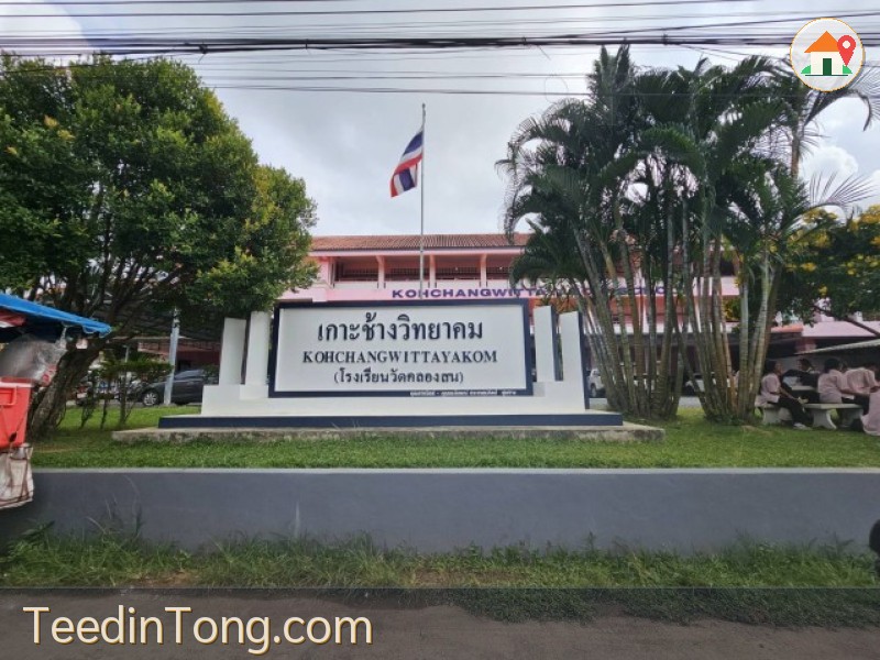 ที่ดินตั้งอยู่ ตอนเหนือของเกาะช้าง โซนบ้านคลองสน ไม่ไกลจากอ่าวคลองสน ลักษณะที่ดินติดชายเขา