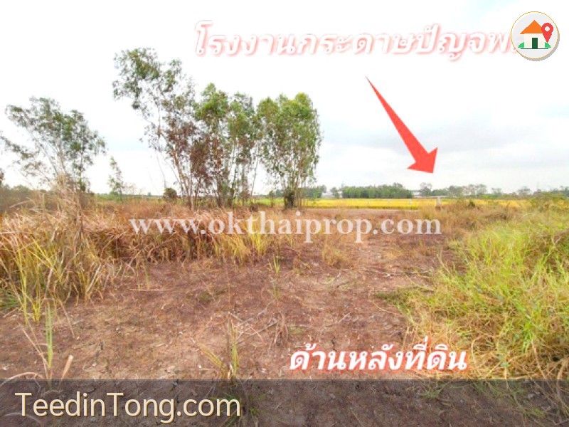 ที่ดิน ถนน3111 อ.บางไทร จ.พระนครศรีอยุธยา