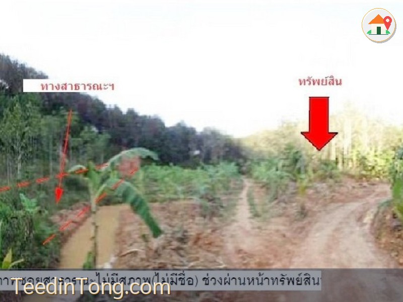 ขายที่ดินแปลงใหญ่ 10-2-50 ไร่ ต.เขามีเกียรติ อ.สะเดา จ.สงขลา ใกล้โรงเรียนบ้านระตะ
