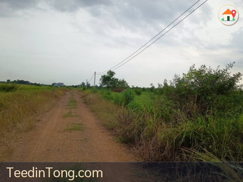 องครักษ์ นครนายก ขายที่ดิน 2 งาน ใกล้มหาวิทยาลัยและศูนย์การแพทย์ มศว